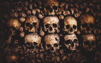 Human skulls and bones stacked up inside the Paris catacombs. 