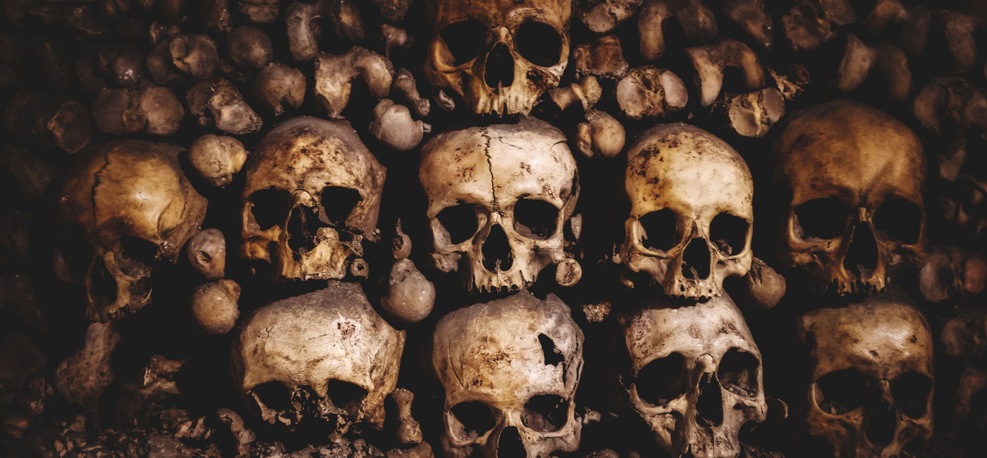 Image: Human skulls and bones stacked up inside the Paris catacombs.  (Photo Credit: Adobe Stock/Netfalls)