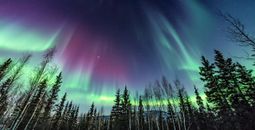 The Northern Lights