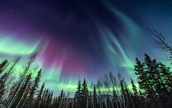 The Northern Lights