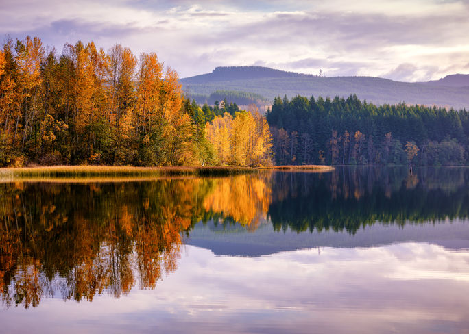 Fall colors on Lake Padden in Bellingham, Washington