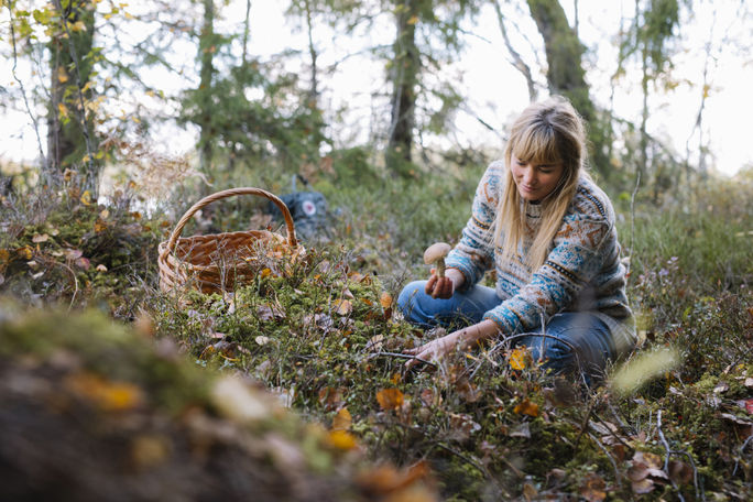 Foraging in Helgö, Småland, Sweden