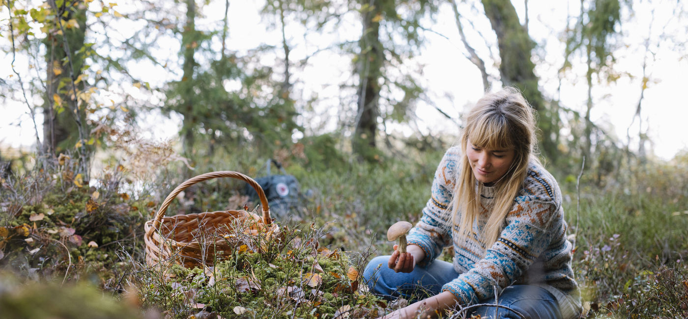 Image: Foraging in Helgö, Småland, Sweden (Photo Credit: Visit Sweden)