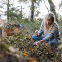 Foraging in Helgö, Småland, Sweden
