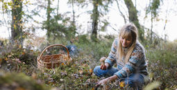 Foraging in Helgö, Småland, Sweden