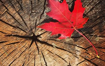 Canadian fall
