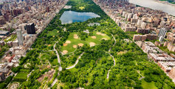 Aerial view of Central Park in New York City