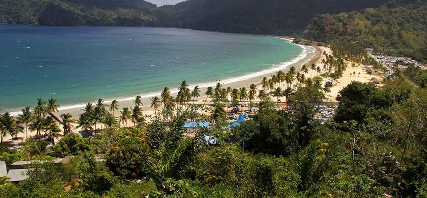 Image: Maracas (Photo Credit: Flickr/neiljs)