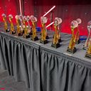 The 2025 Travvy Awards await their winners
