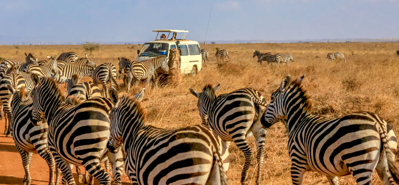 Image: An African safari (Source: Globus family of brands)