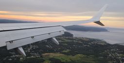 “It’s been a good northern summer season for airlines," said Willie Walsh, IATA’s Director General.