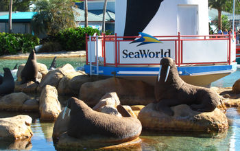 SeaWorld, Orlando, theme park