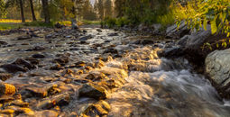 Alpine Falls Ranch.
