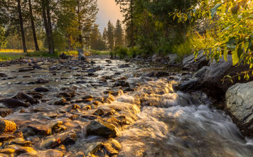 Alpine Falls Ranch.