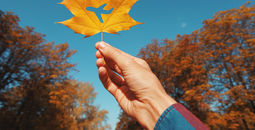 Autumn travel.