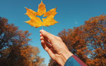 Autumn travel.