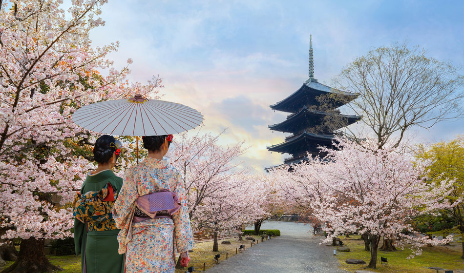 Toji Temple in Kyoto, Japan during sakura season.