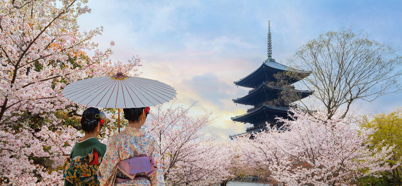 Image: Le temple Tō-ji à Kyoto, au Japon, pendant la saison des cerisiers en fleurs (Photo Credit: Adobe Stock/coward_lion)