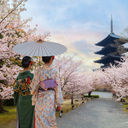 Toji Temple in Kyoto, Japan during sakura season.