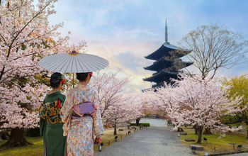 Toji Temple in Kyoto, Japan during sakura season.