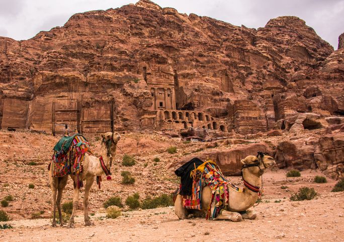 Camels, archaeological site, Petra, Jordan, Middle East