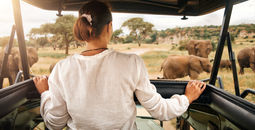 East Africa safari