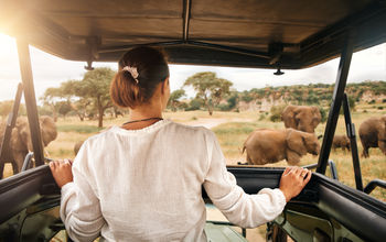 East Africa safari