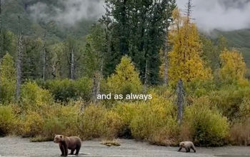 TravelPulse Social Media Contest Winner