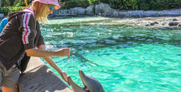 Woman feeding a dolphin