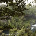 Huilo-Huilo Reserve
