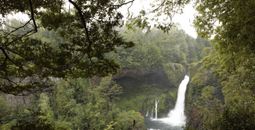 Huilo-Huilo Reserve