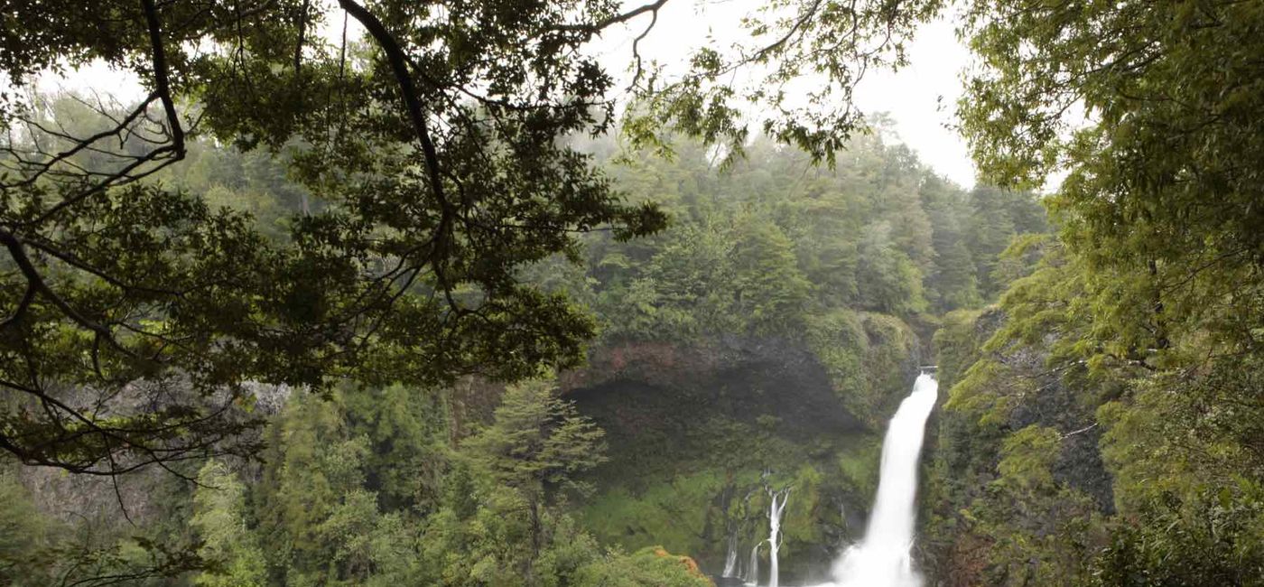 Image: Huilo-Huilo Reserve (Photo Credit: Turismo Chile)
