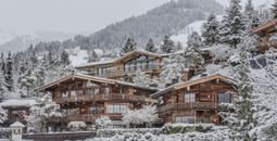 Rental Escapes, luxury villa rentals, villa rentals, austria villas