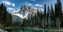 Fora enters B.C.