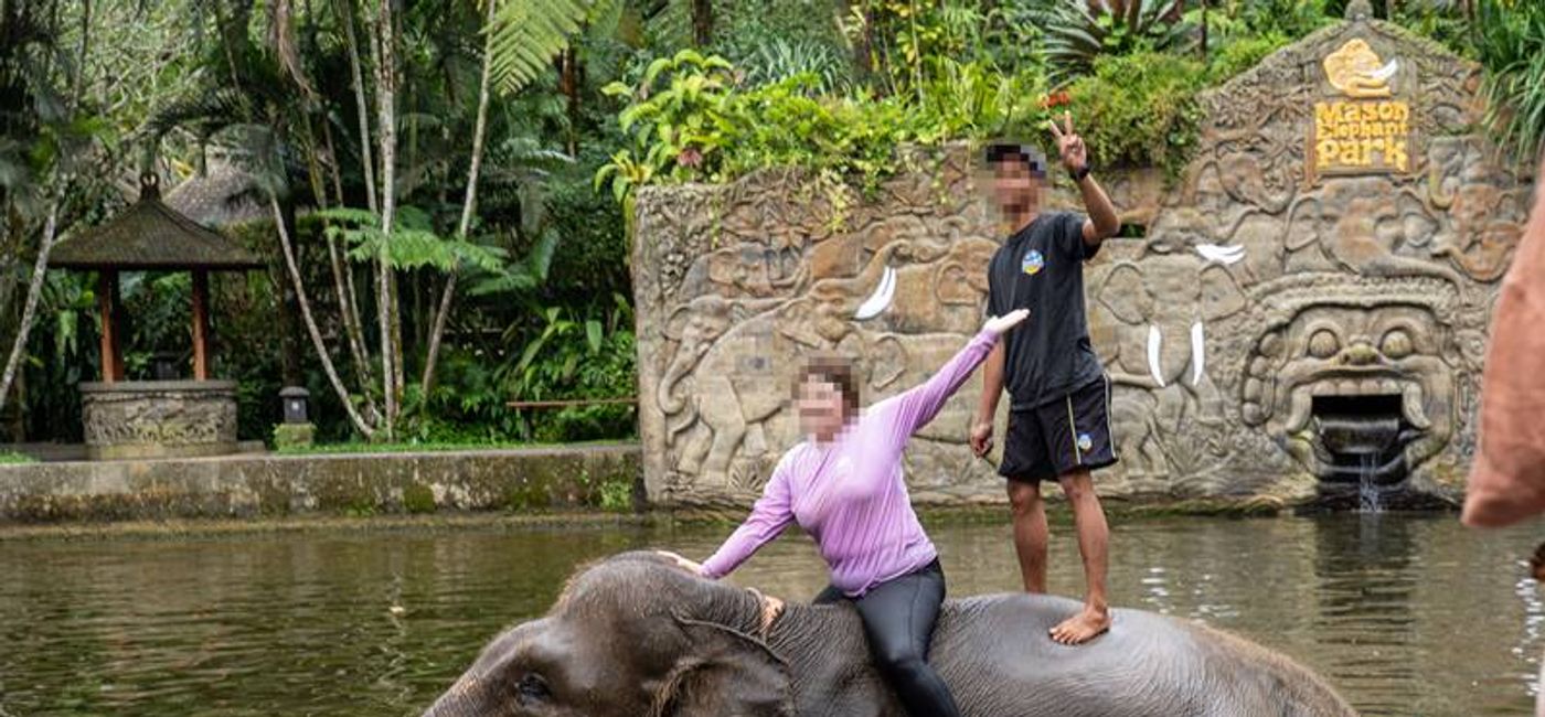 Image: World Animal Protection advises tourists to avoid venues that allow riding, touching, or bathing elephants. (Photo Credit: Courtesy World Animal Protection)