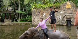 Tourist riding an elephant
