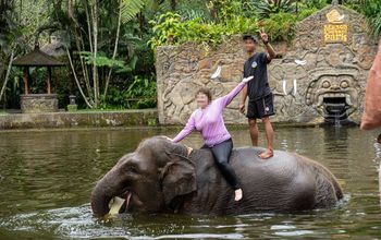 Tourist riding an elephant