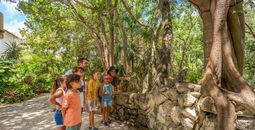 Signature Eco Collection at Sandos Caracol Eco Resort_CANADA