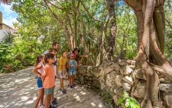 Signature Eco Collection at Sandos Caracol Eco Resort_CANADA