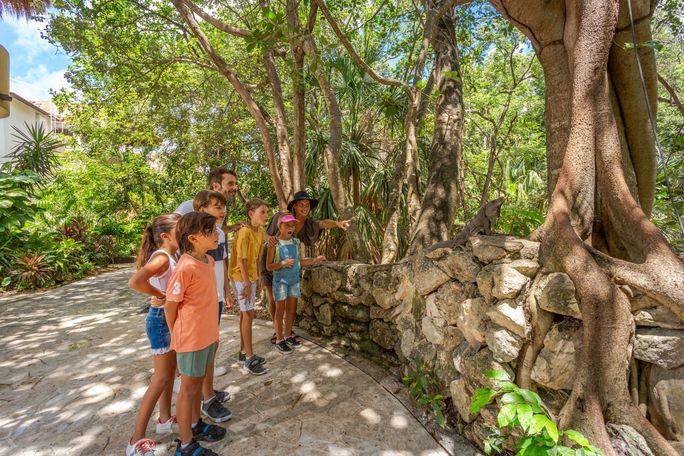 Signature Eco Collection at Sandos Caracol Eco Resort_CANADA Signature Eco Collection at Sandos Caracol Eco Resort_CANADA