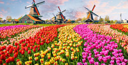 Traditional dutch windmills and houses near the canal in Zaanstad village, Zaanse Schans, Netherlands, Europe