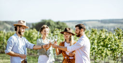 Travel advisors can book wine tastings.