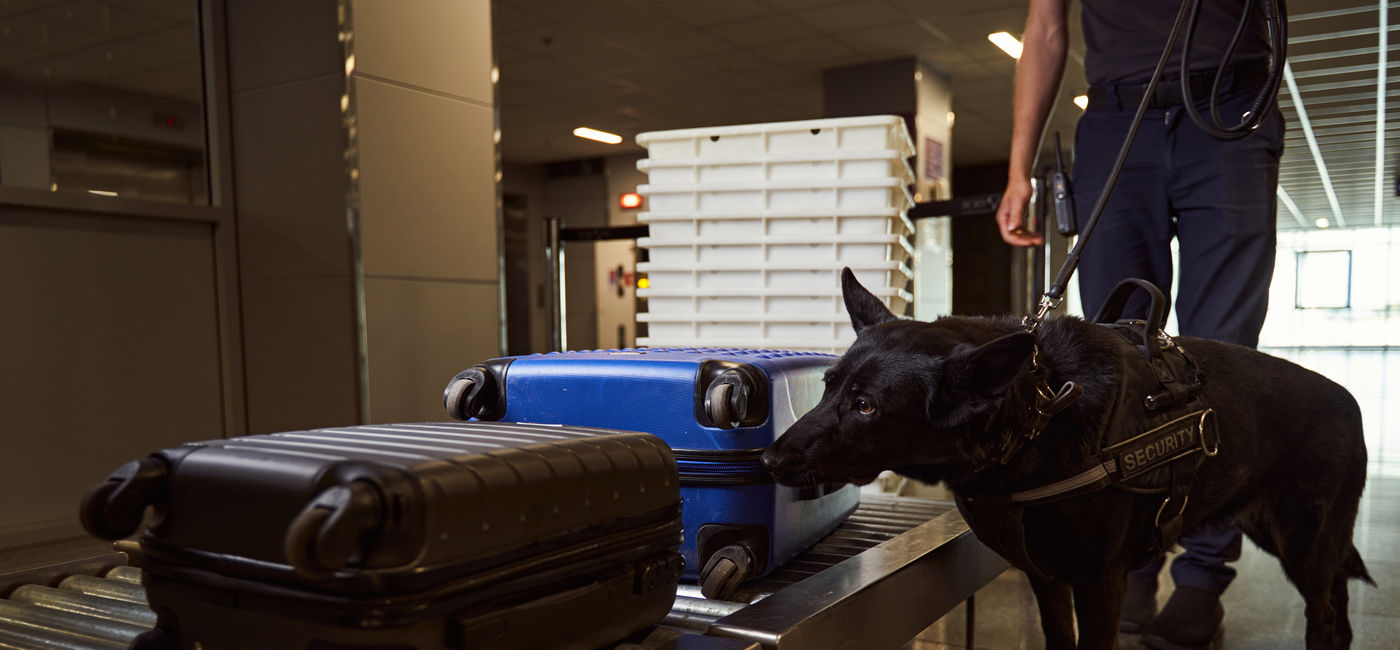 Image: Security worker and dog conducting bag search at airport. (Photo Credit: Svitlana/Adobe)