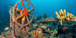 The wrecks of Saint-Pierre-Les Épaves
