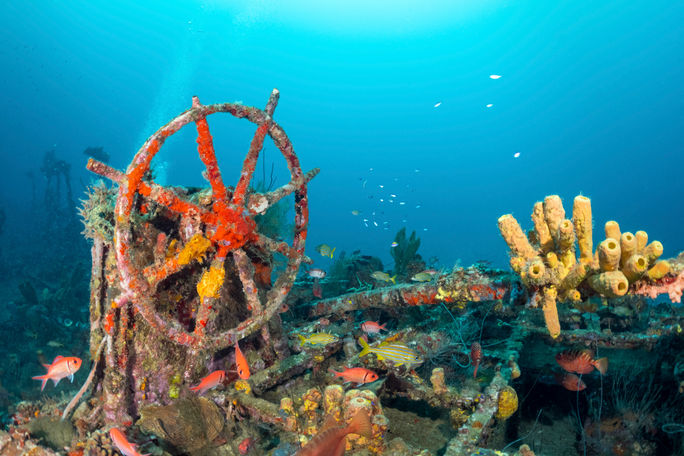 The wrecks of Saint-Pierre-Les Épaves The wrecks of Saint-Pierre-Les Épaves