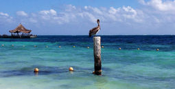 Cancun beach