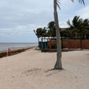Sargassum in Mexico, beach, cancun, riviera maya, seaweed, algae