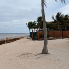 Sargassum in Mexico, beach, cancun, riviera maya, seaweed, algae