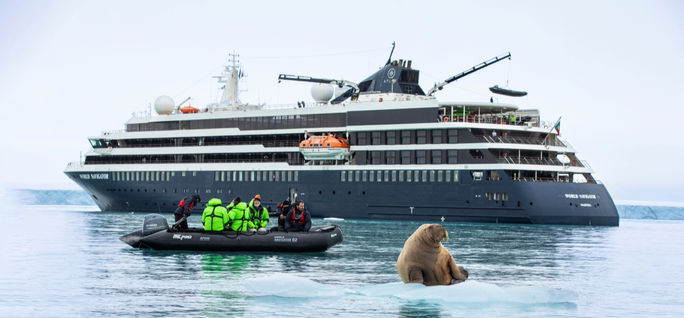 Atlas Ocean Voyages, Zodiac, arctic animals, polar animals, Arctic expeditions, arctic expedition cruise, walrus