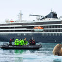 Atlas Ocean Voyages, Zodiac, arctic animals, polar animals, Arctic expeditions, arctic expedition cruise, walrus